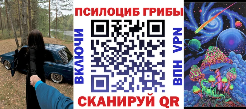 Галлюциногенные грибы Psilocybe  Можга 